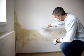 Best Comprehensive Air Testing for Mold Contaminants in Knox, PA